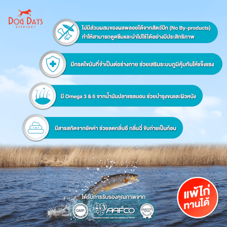 อาหารเม็ดสำหรับสุนัข DOG DAYS เกรดโฮลิสติก รสปลา สูตร DERMA (11.2 KG)_3